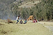Agriculture in Peruvian puna
